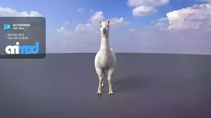 Alpaca 3D model