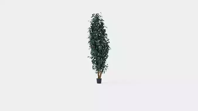 Potted Plant Low-poly 3D model