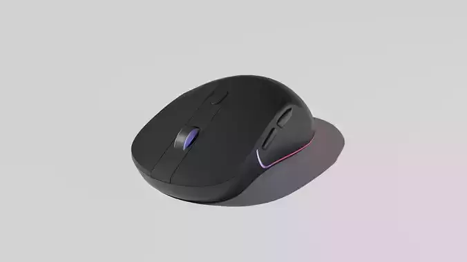 Computer Mouse