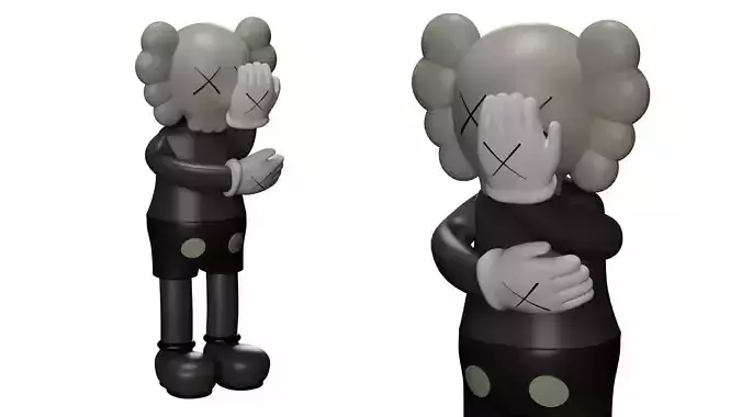Kaws Companion
