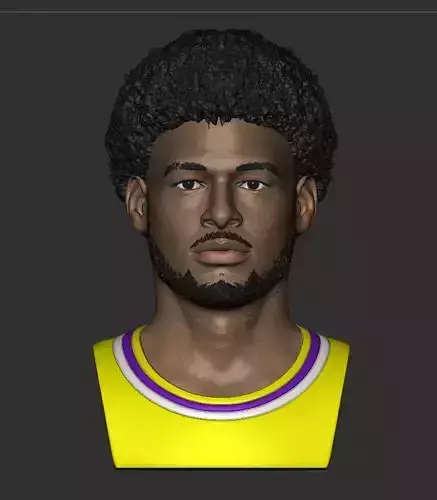 Bronny James Jr Bust
