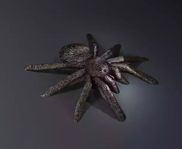 Tarantula 3D print model