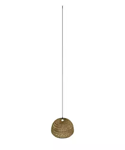 Stunning Pendant Lamp 3D Model for Interiors