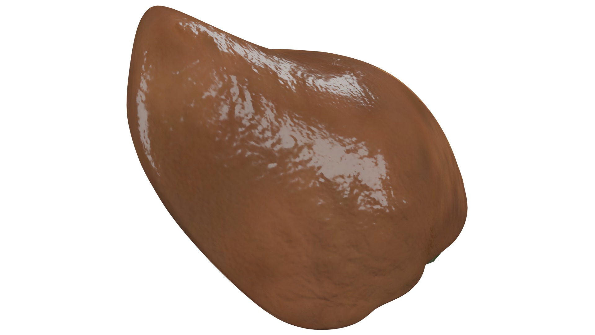 Liver 3D model_6