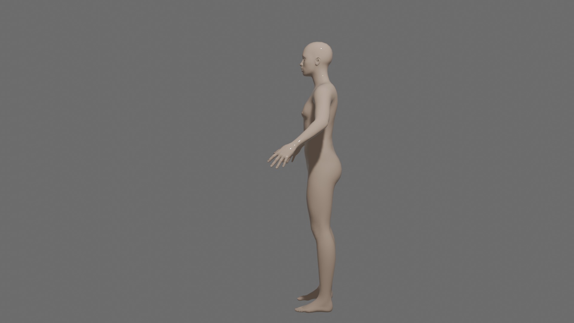 Human Body Model 3D model_7