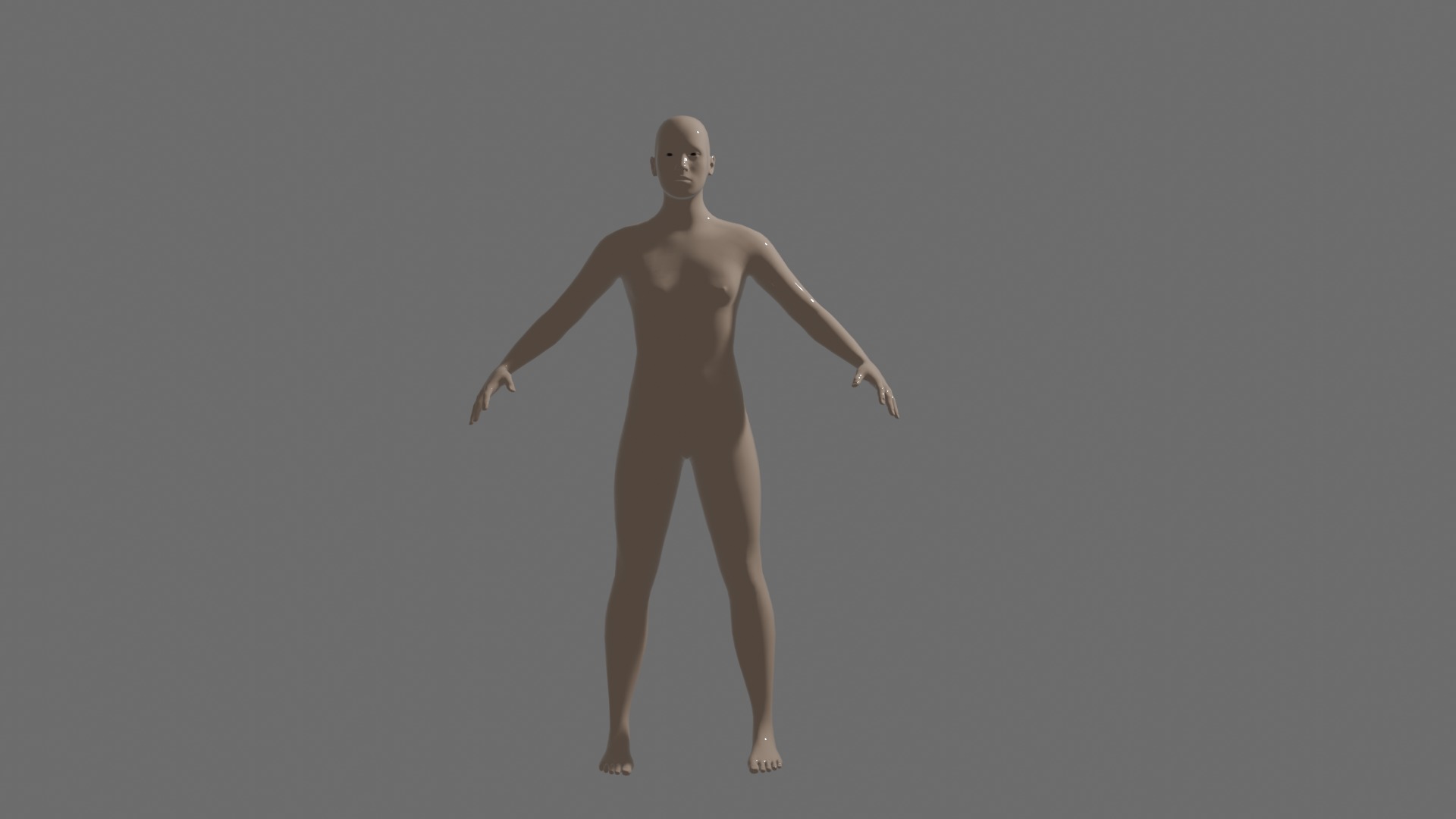 Human Body Model 3D model_4