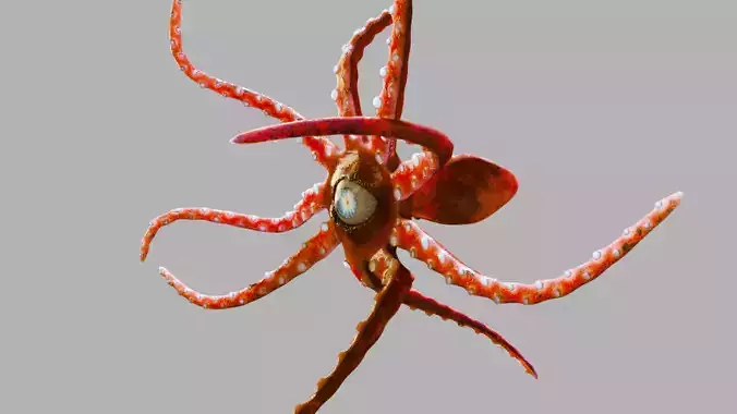Red Alien Squid Rig 3D model