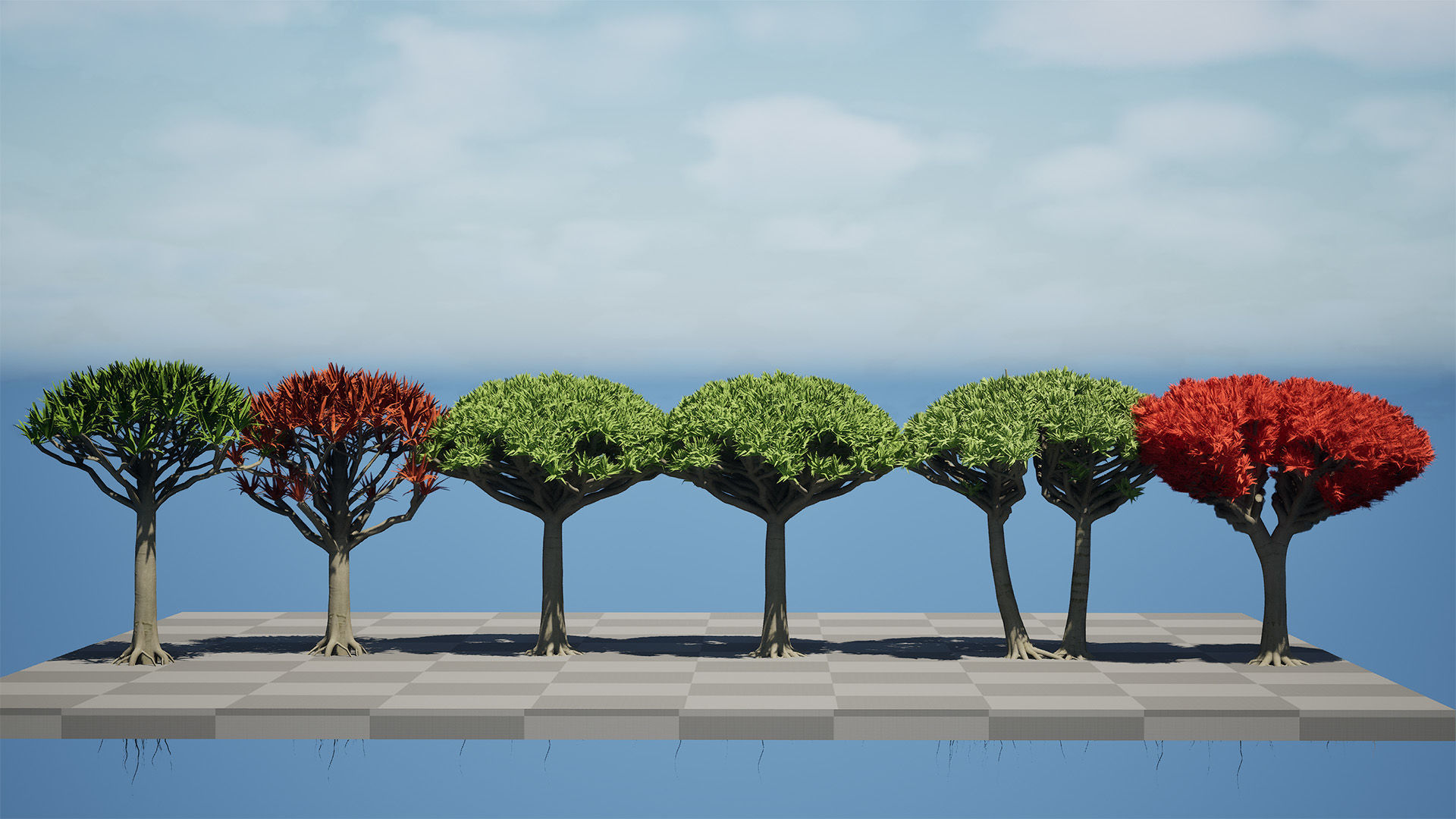 Dragon Blood Tree 3D Model Low-poly 3D model_6