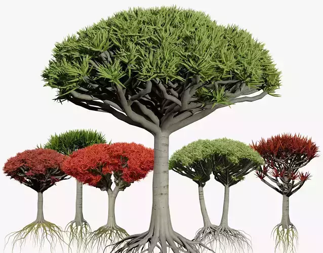 Dragon Blood Tree 3D Model Low-poly 3D model