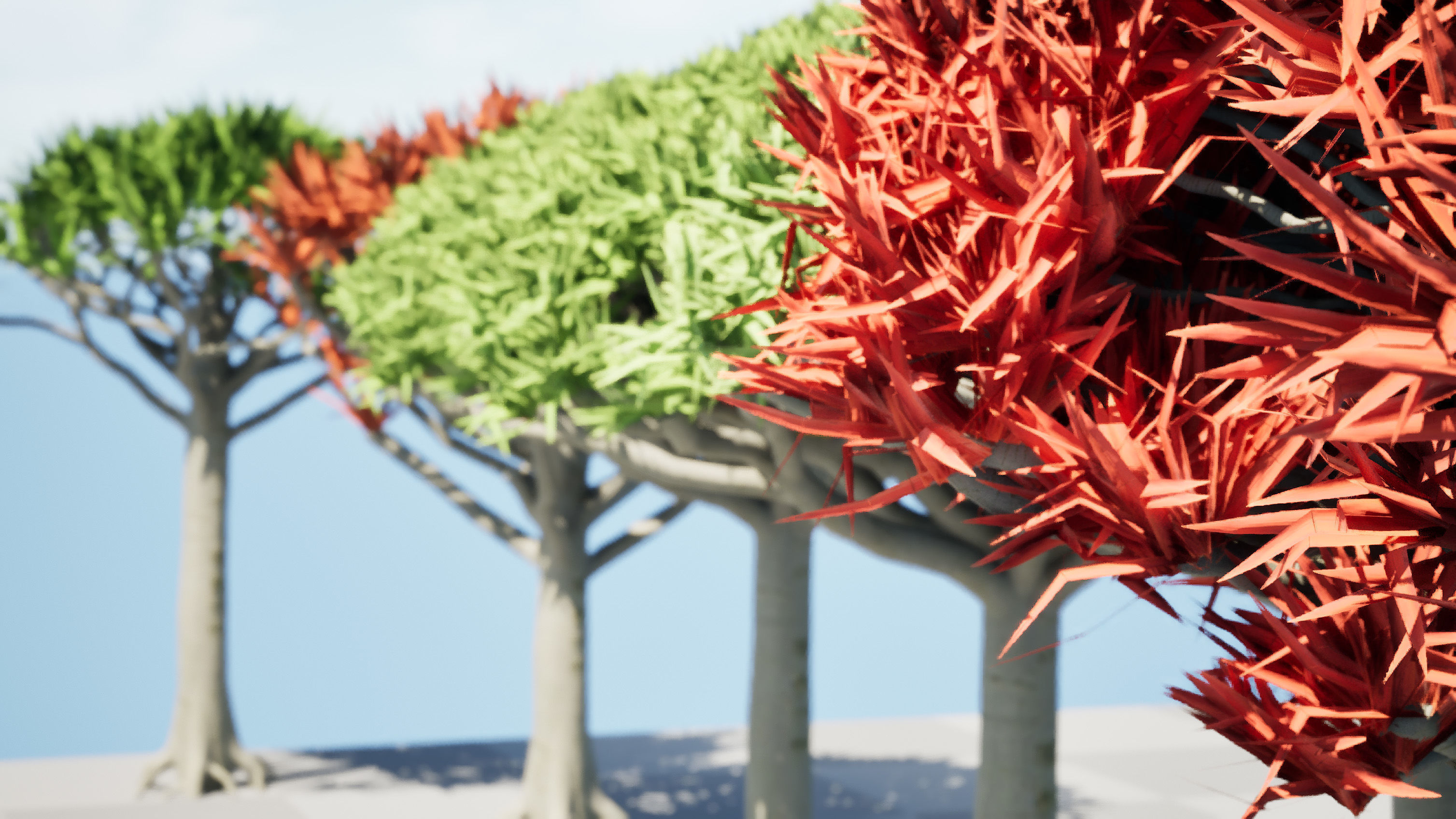 Dragon Blood Tree 3D Model Low-poly 3D model_7
