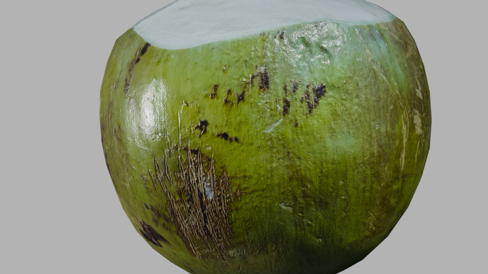 Realistic Green Tropical Coconut 4k 3D model_14