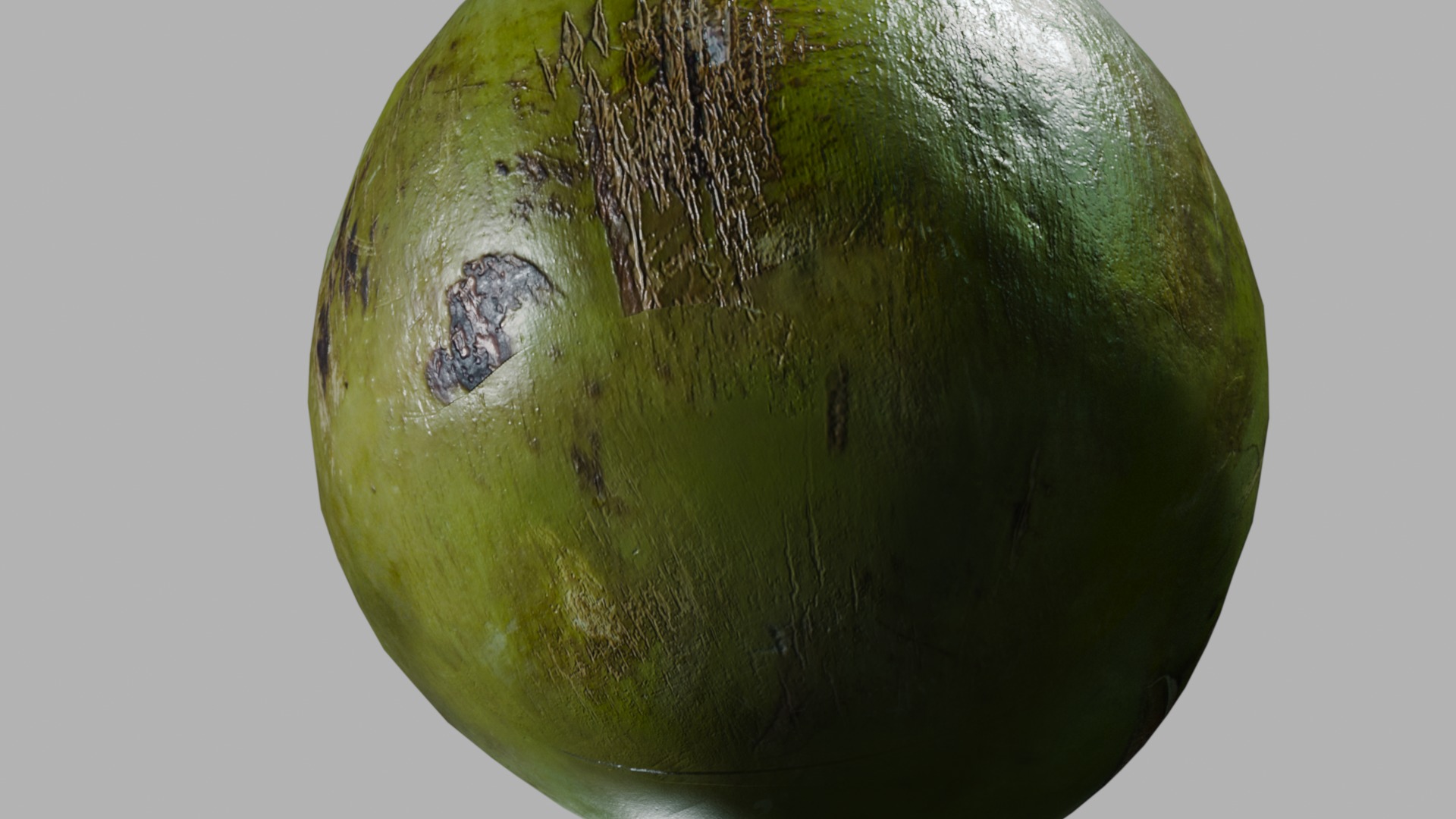 Realistic Green Tropical Coconut 4k 3D model_15