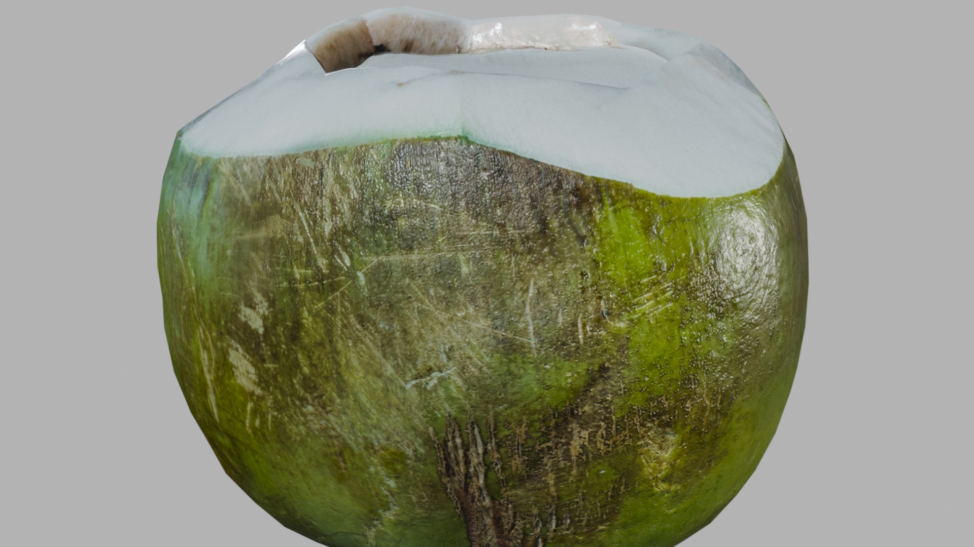 Realistic Green Tropical Coconut 4k 3D model_13