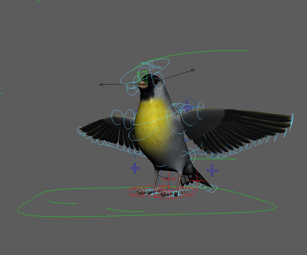 3D Bird Pack Lawrence Finch Male and Female Low-poly 3D model  Low-poly 3D model_39