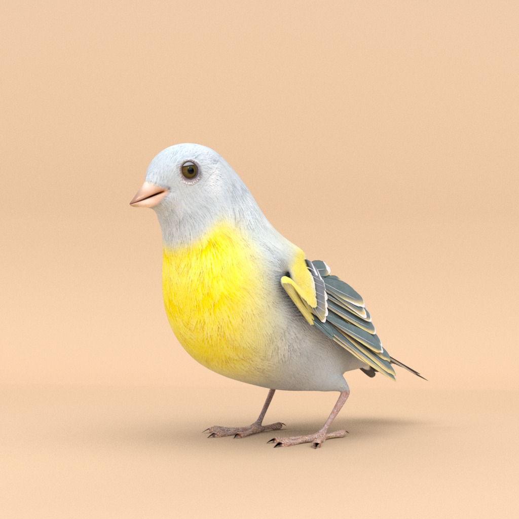 3D Bird Pack Lawrence Finch Male and Female Low-poly 3D model  Low-poly 3D model_3
