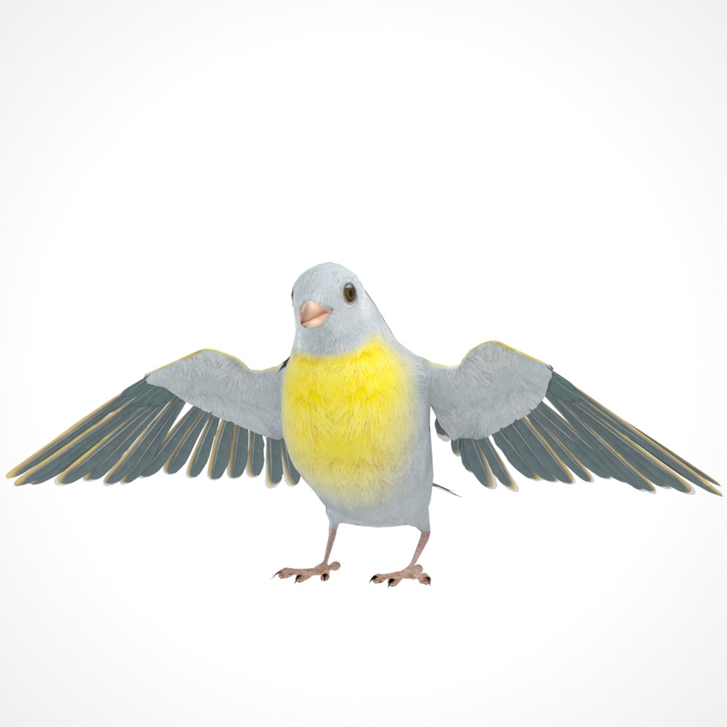 3D Bird Pack Lawrence Finch Male and Female Low-poly 3D model  Low-poly 3D model_23