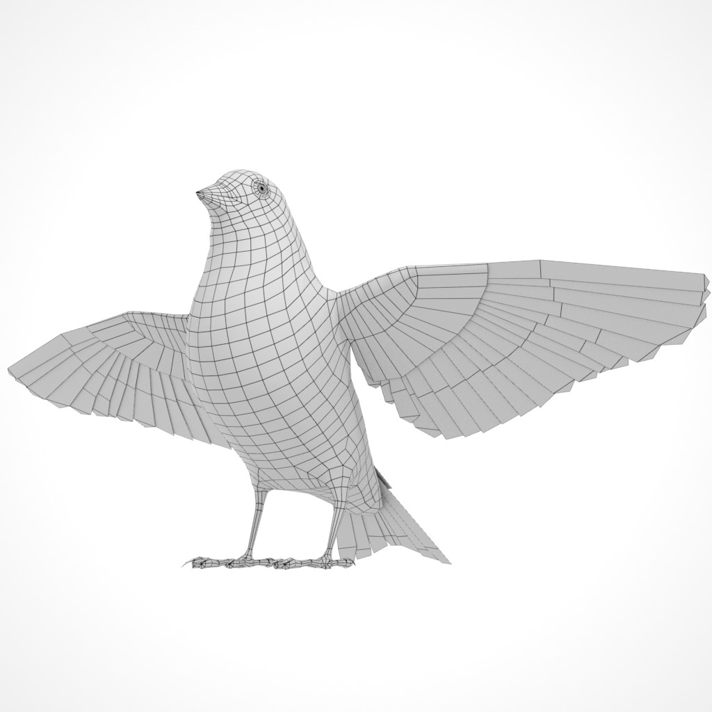 3D Bird Pack Lawrence Finch Male and Female Low-poly 3D model  Low-poly 3D model_33