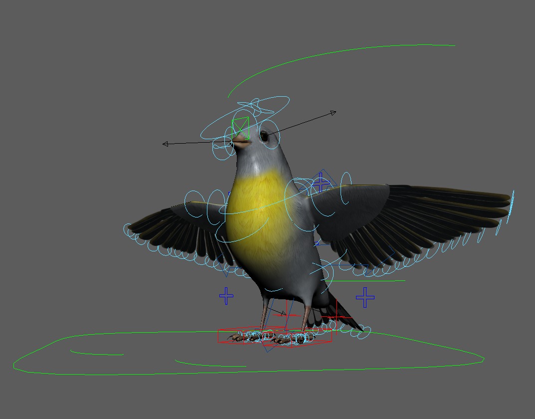3D Bird Pack Lawrence Finch Male and Female Low-poly 3D model  Low-poly 3D model_40