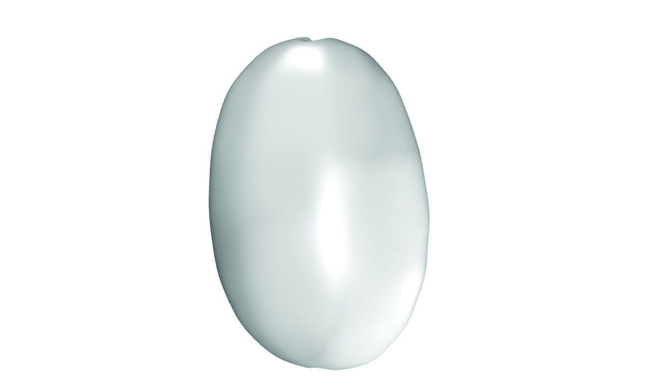 coffee bean 3D print model_1