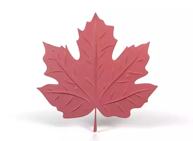 Maple leaf