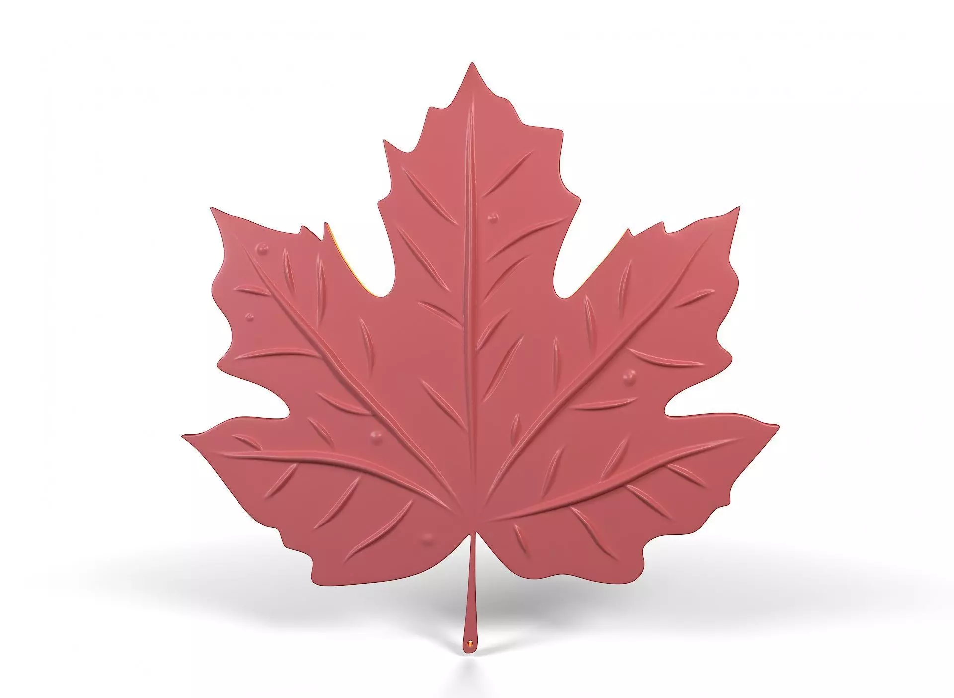 Maple leaf 3D print model