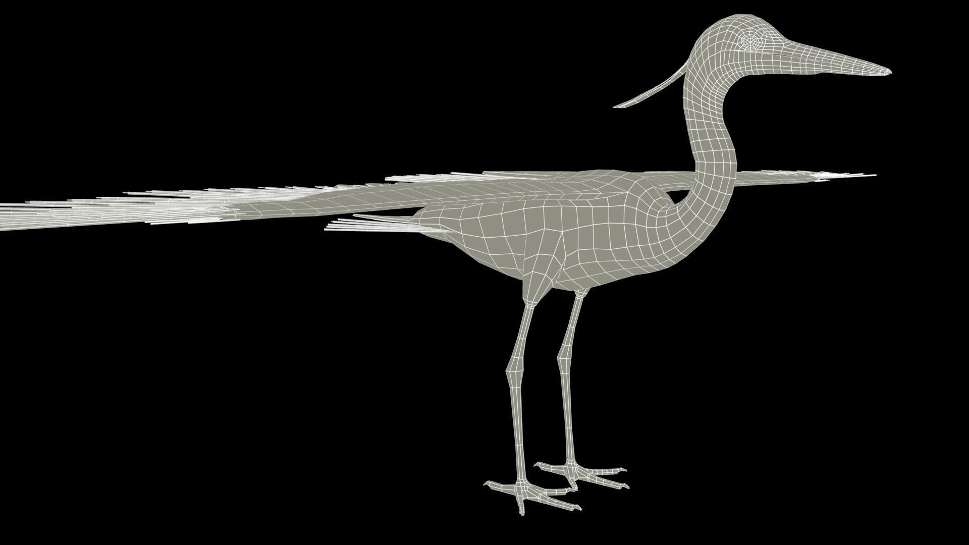 Heron Low-poly 3D model_13