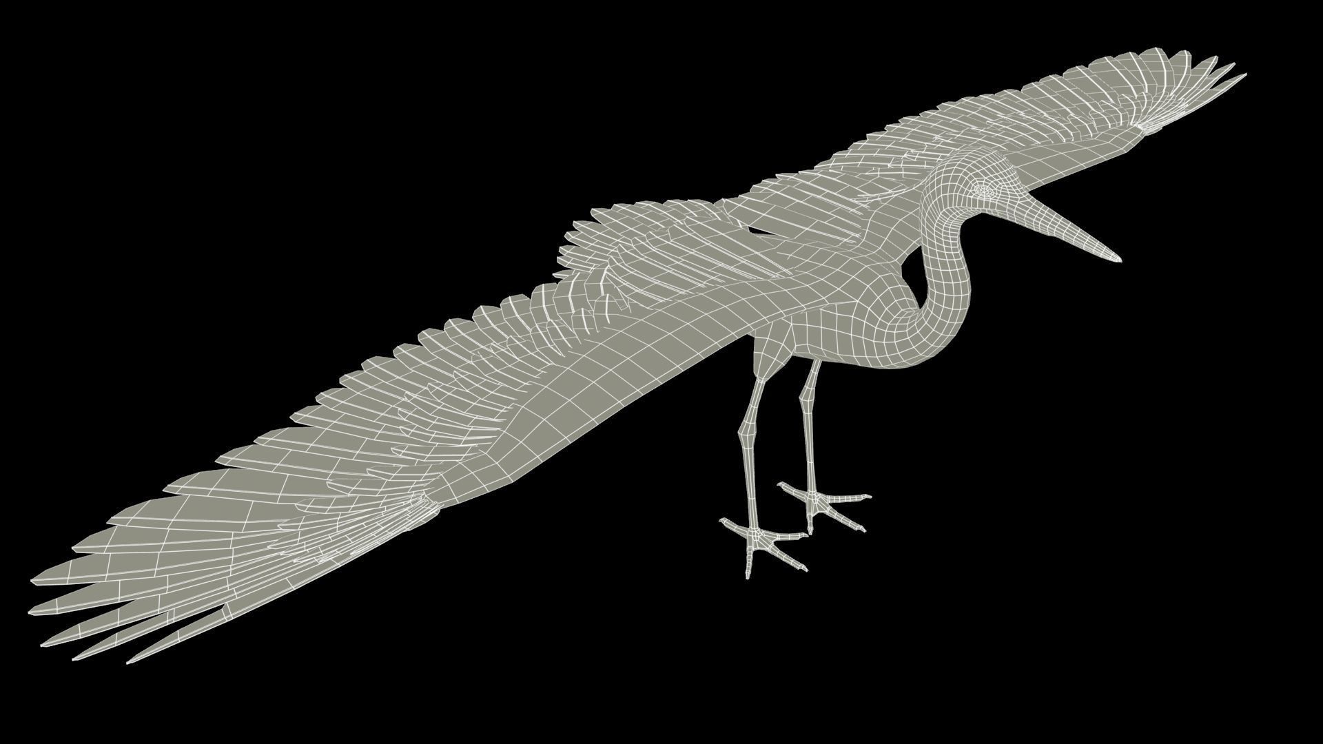Heron Low-poly 3D model_11