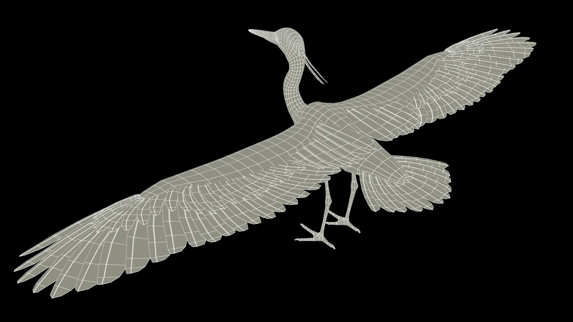 Heron Low-poly 3D model_12