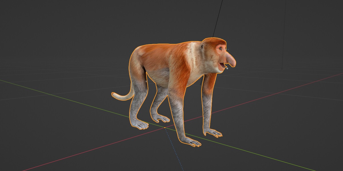 Proboscis Monkey Low-poly 3D model_5