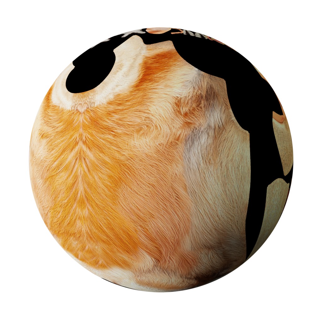 Proboscis Monkey Low-poly 3D model_38