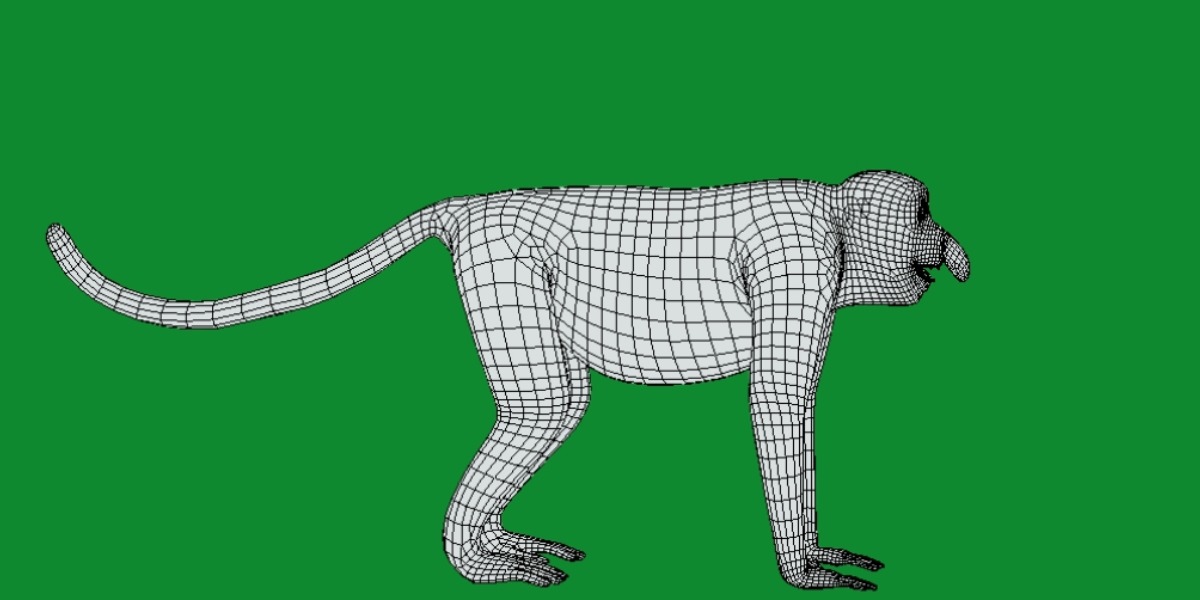 Proboscis Monkey Low-poly 3D model_23