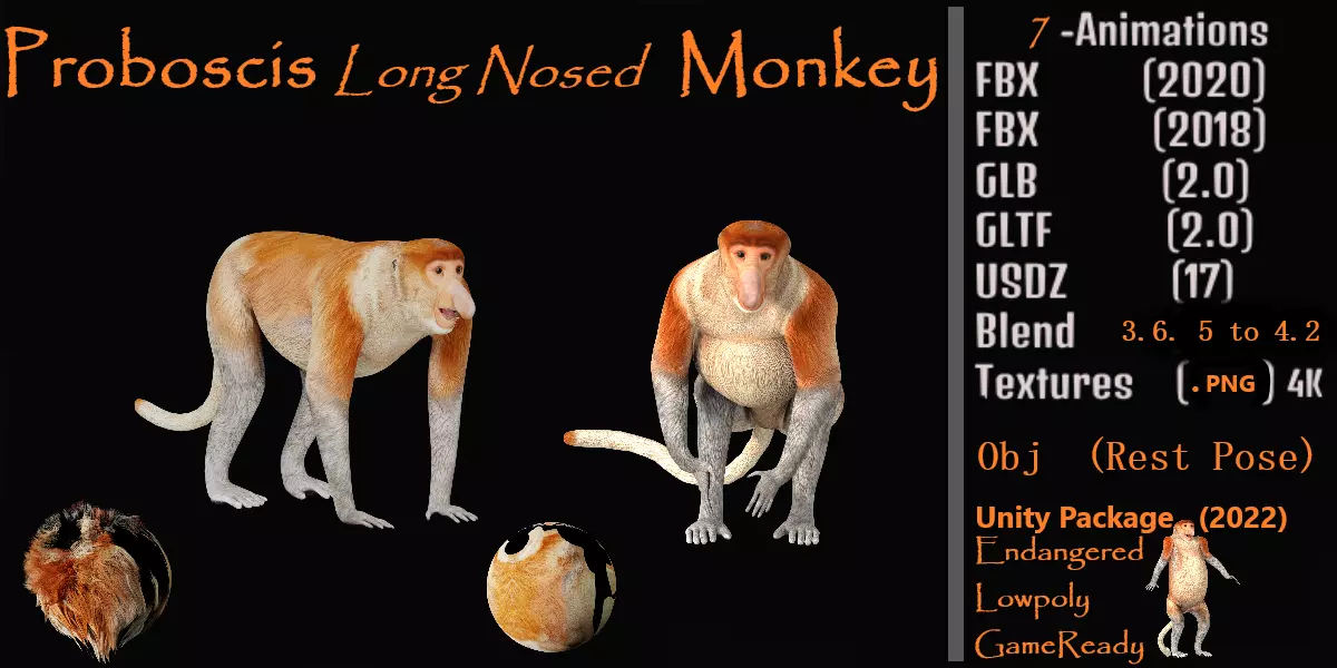 Proboscis Monkey Low-poly 3D model_3