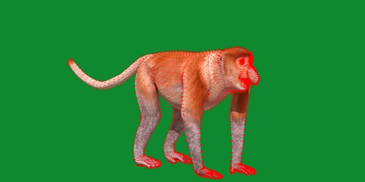 Proboscis Monkey Low-poly 3D model_21