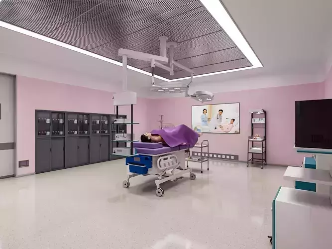 Hospital delivery operating room 1    3D model