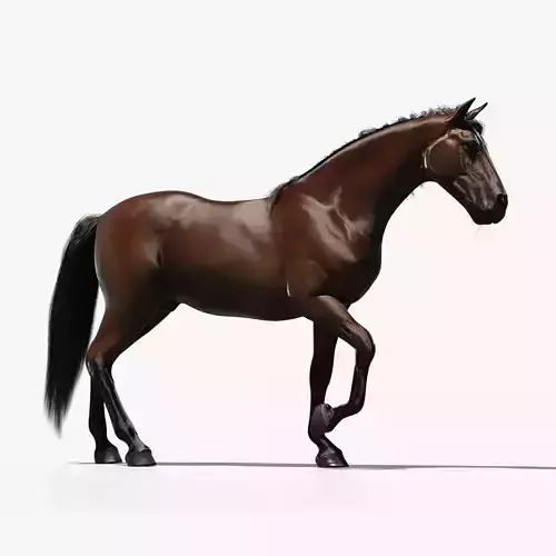 Brown horse 3D model