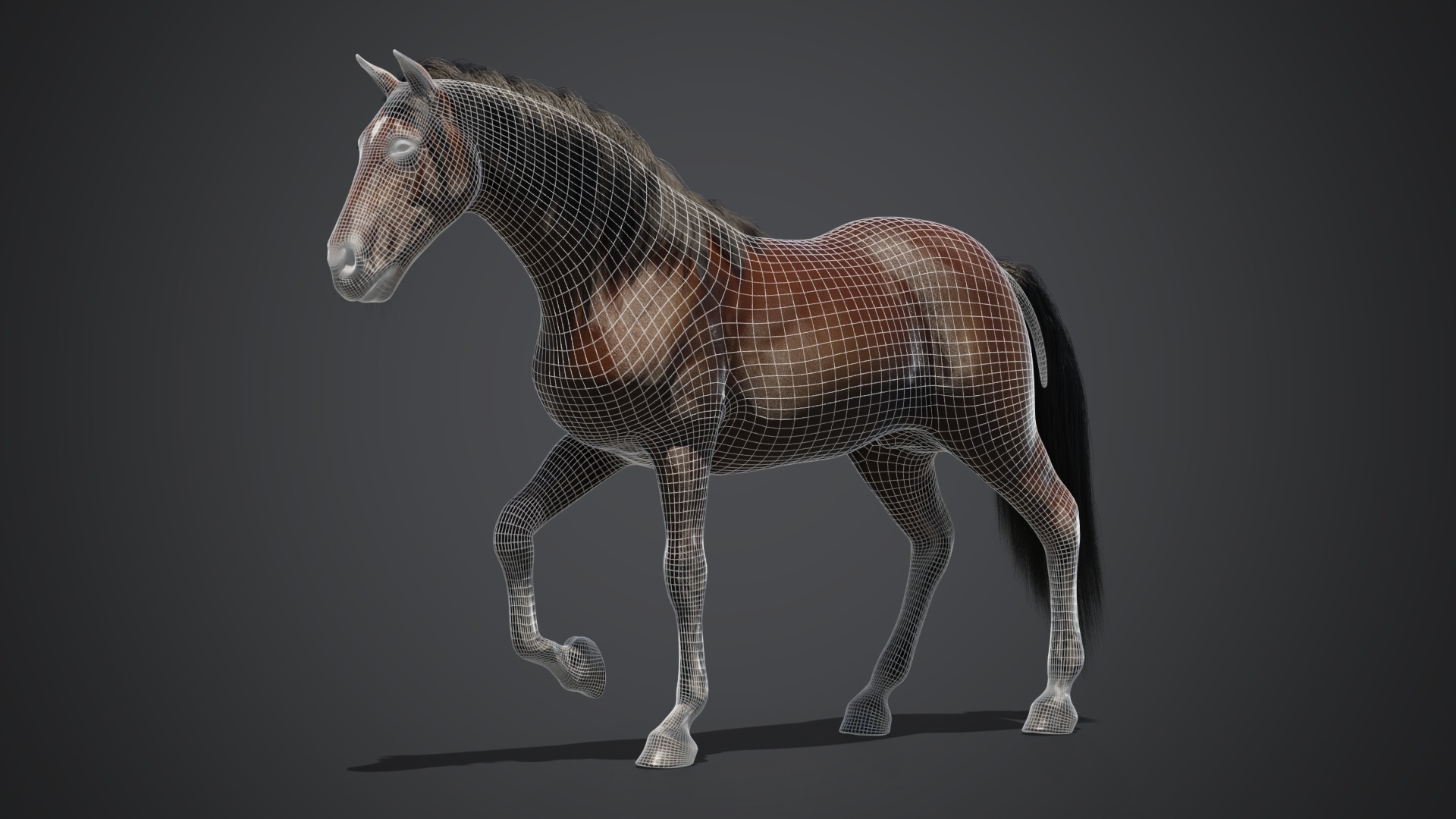Brown horse 3D model_2