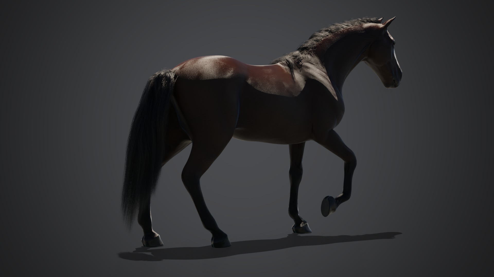 Brown horse 3D model_5