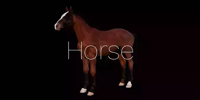 Horse