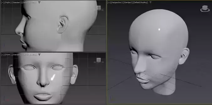 Head Women model by 3dsmax 