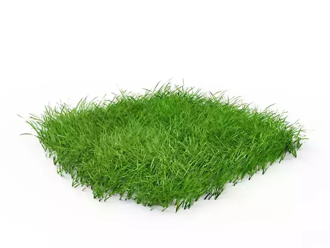 Grass Astroturf 
