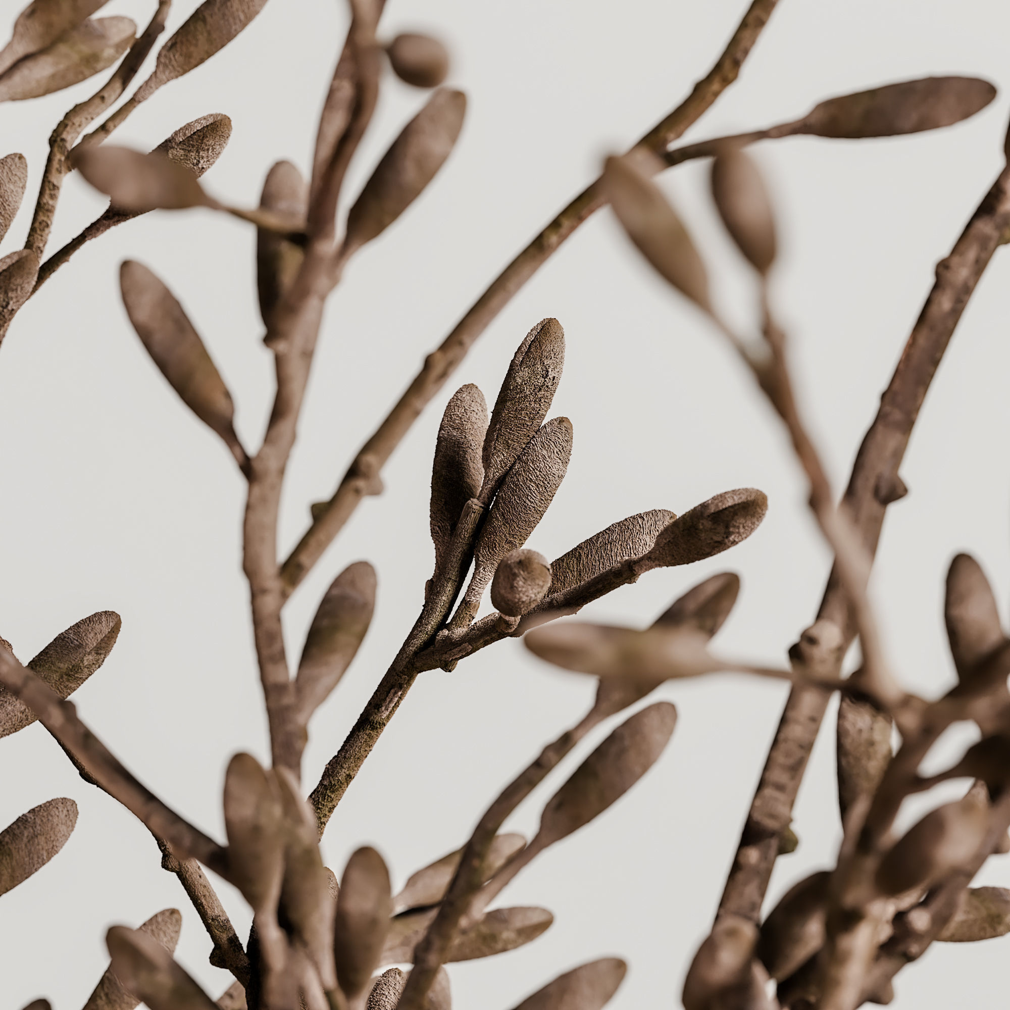 decorative set 114 3D model_4