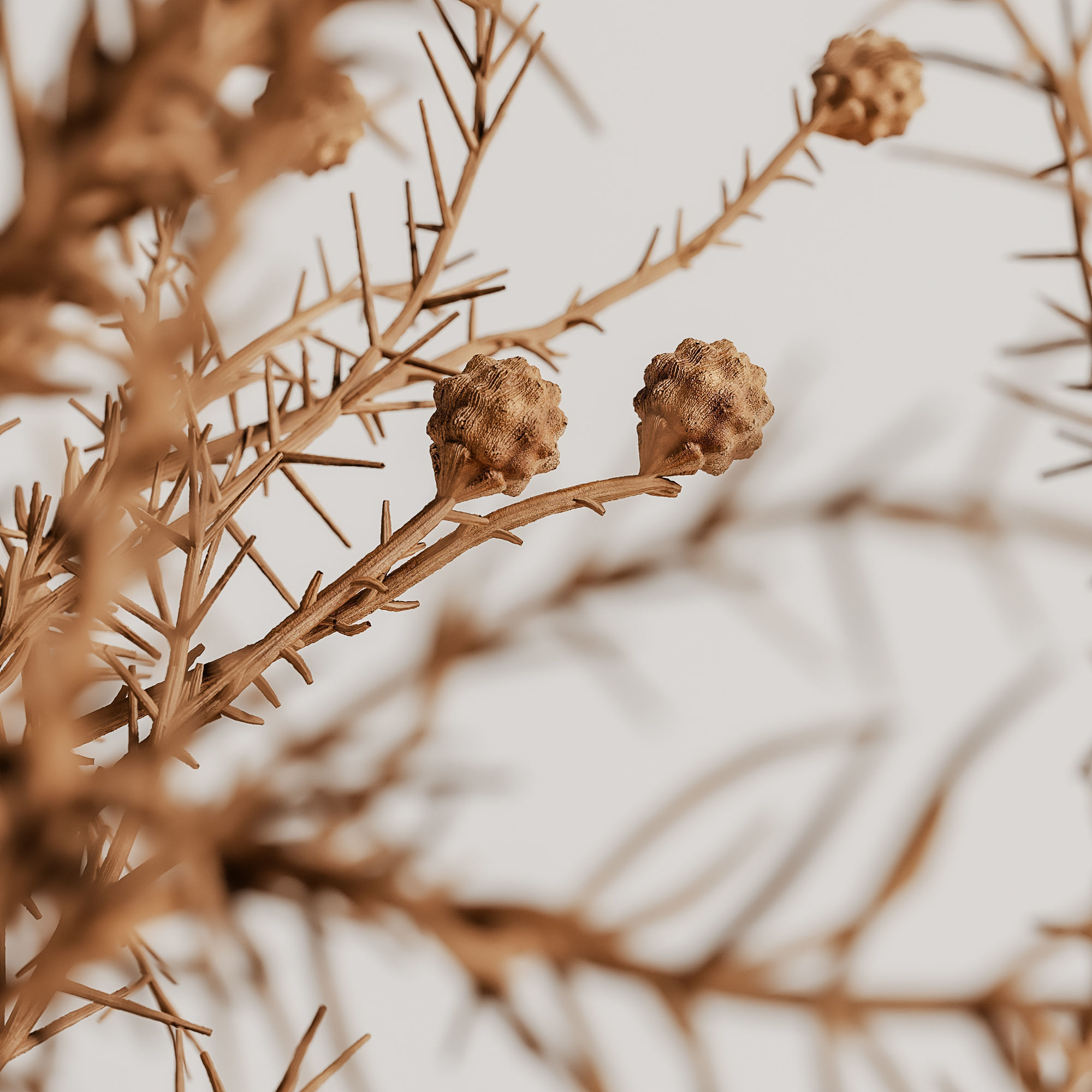 plants bouquet vase 42 3D model_3