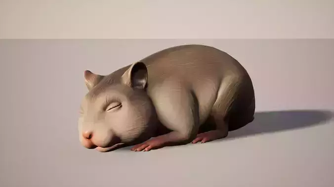 Hamster stylized