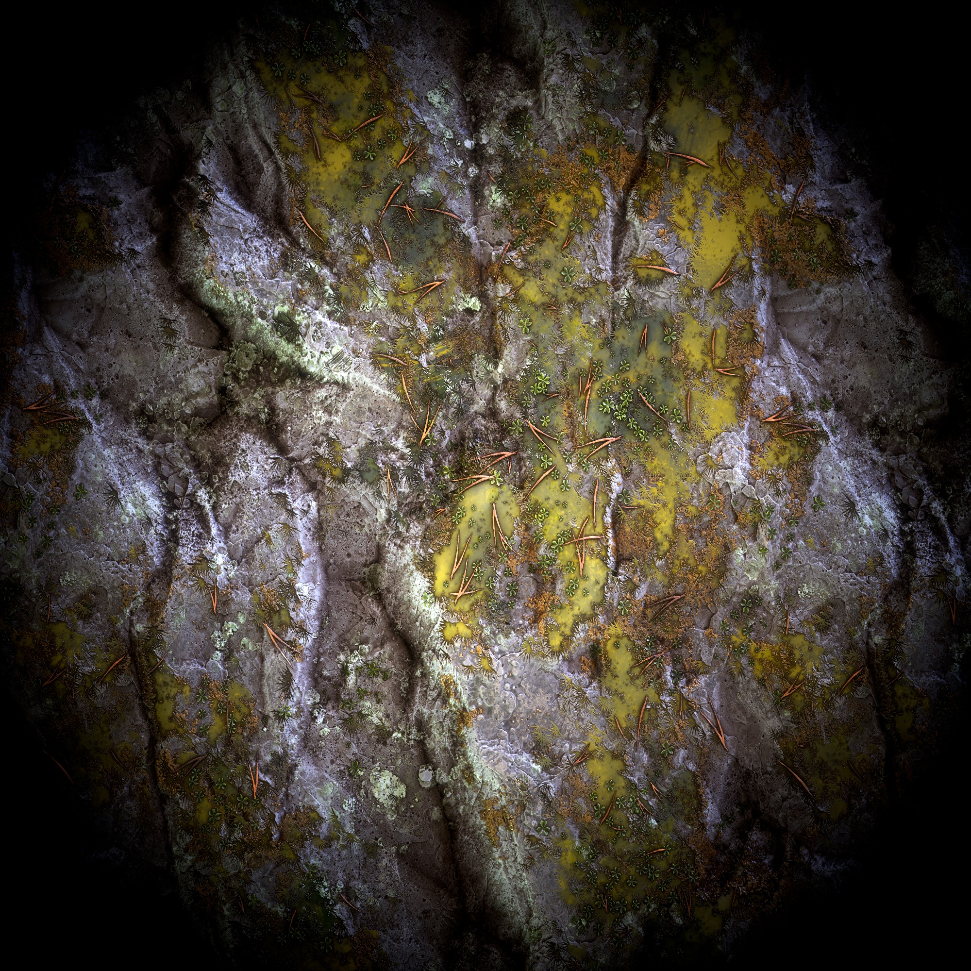 Rock - VOL 01 - substance designer Texture_1