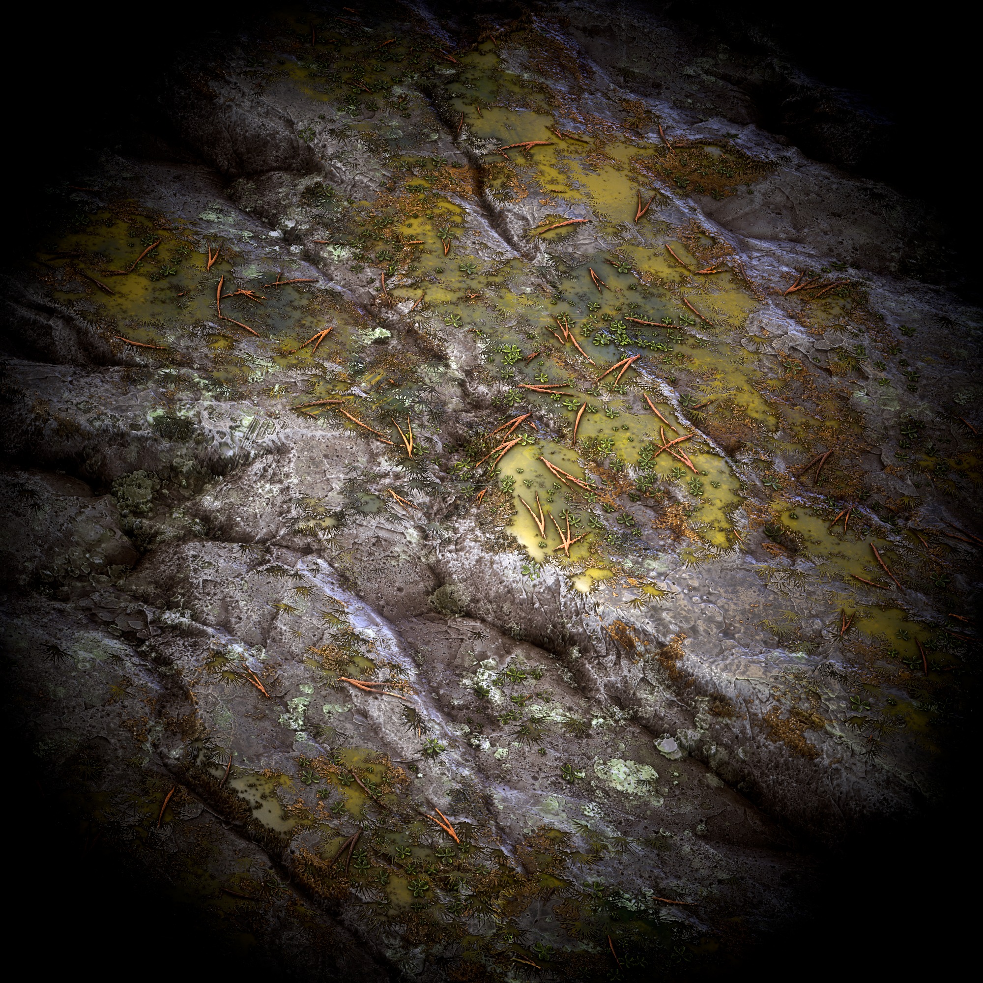 Rock - VOL 01 - substance designer Texture_2