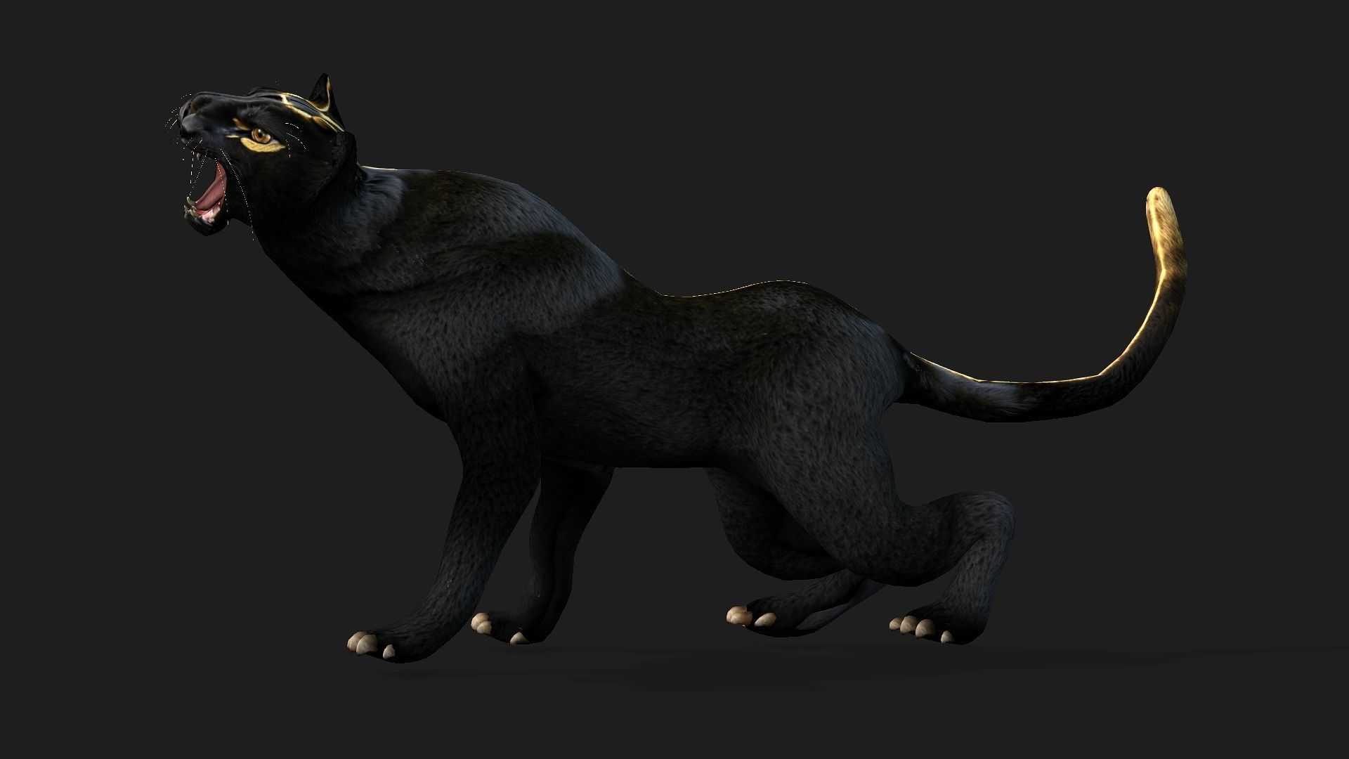 Pack-04-Mythical Creatures 3D model_79