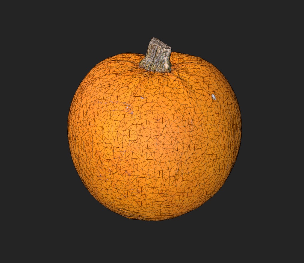Photorealistic Small Pumpkin Low-poly 3D model_5