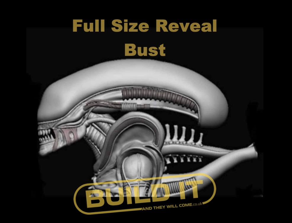 Alien full size bust stl  3D print model_1