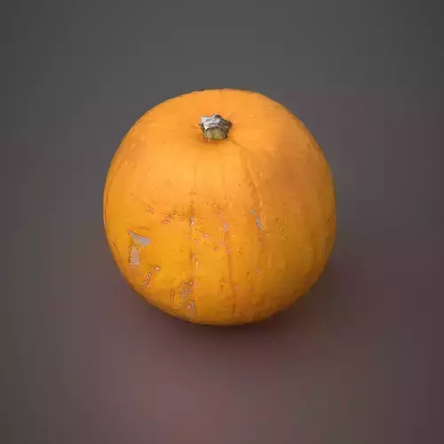 Photorealistic Giant Pumpkin
