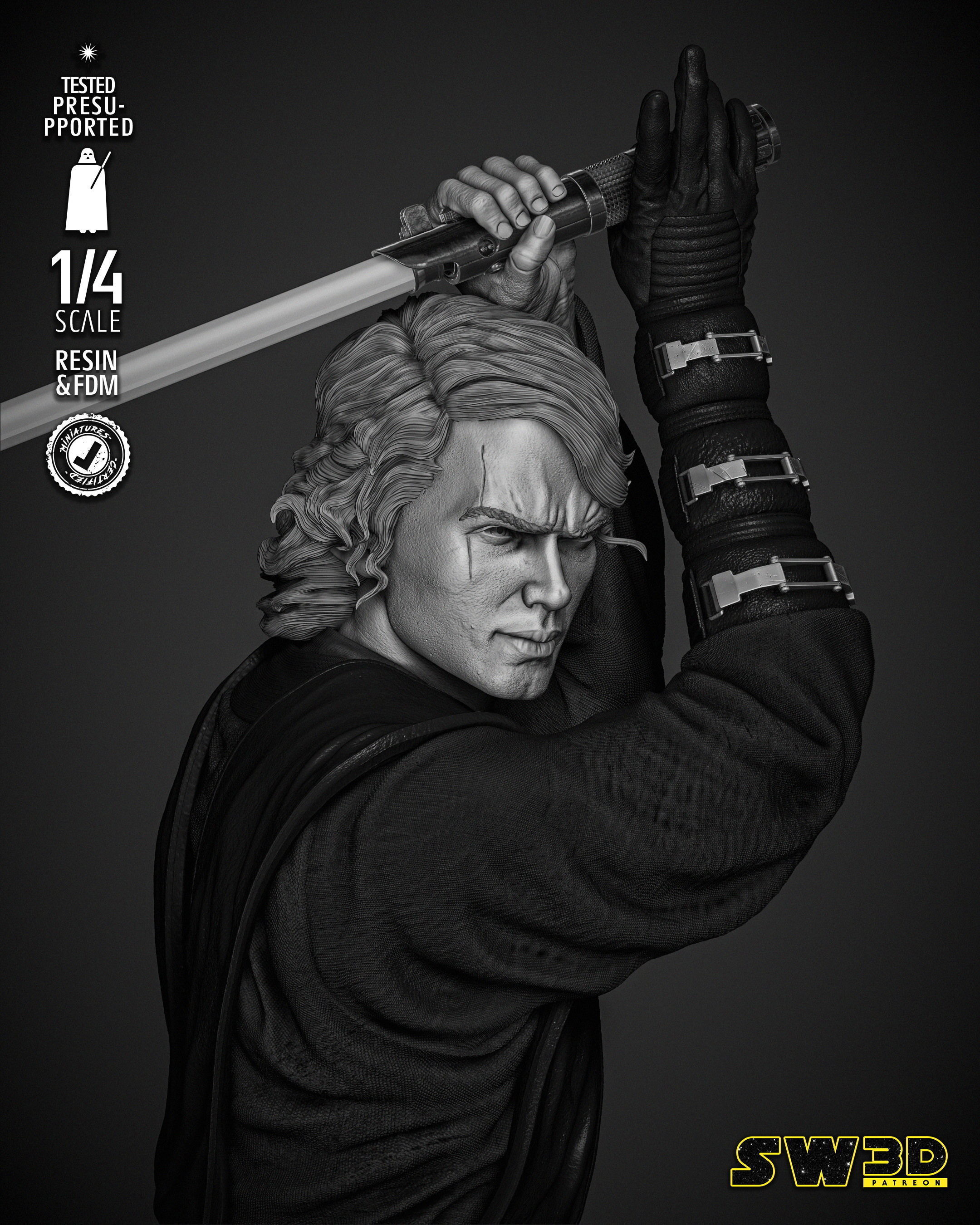 STAR WARS Anakin Bust  3D print model_13